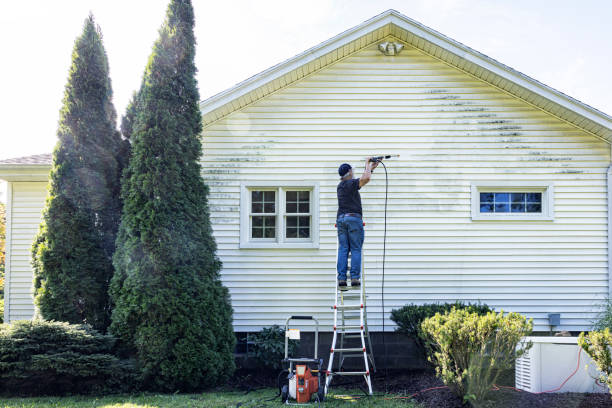 Best Gutter Cleaning  in Fallston, MD